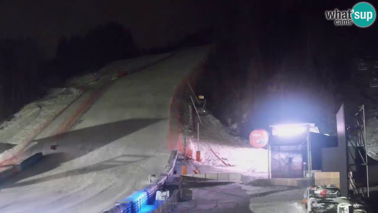 Podkoren Webcam Kranjska Gora | Finish of Giant slalom