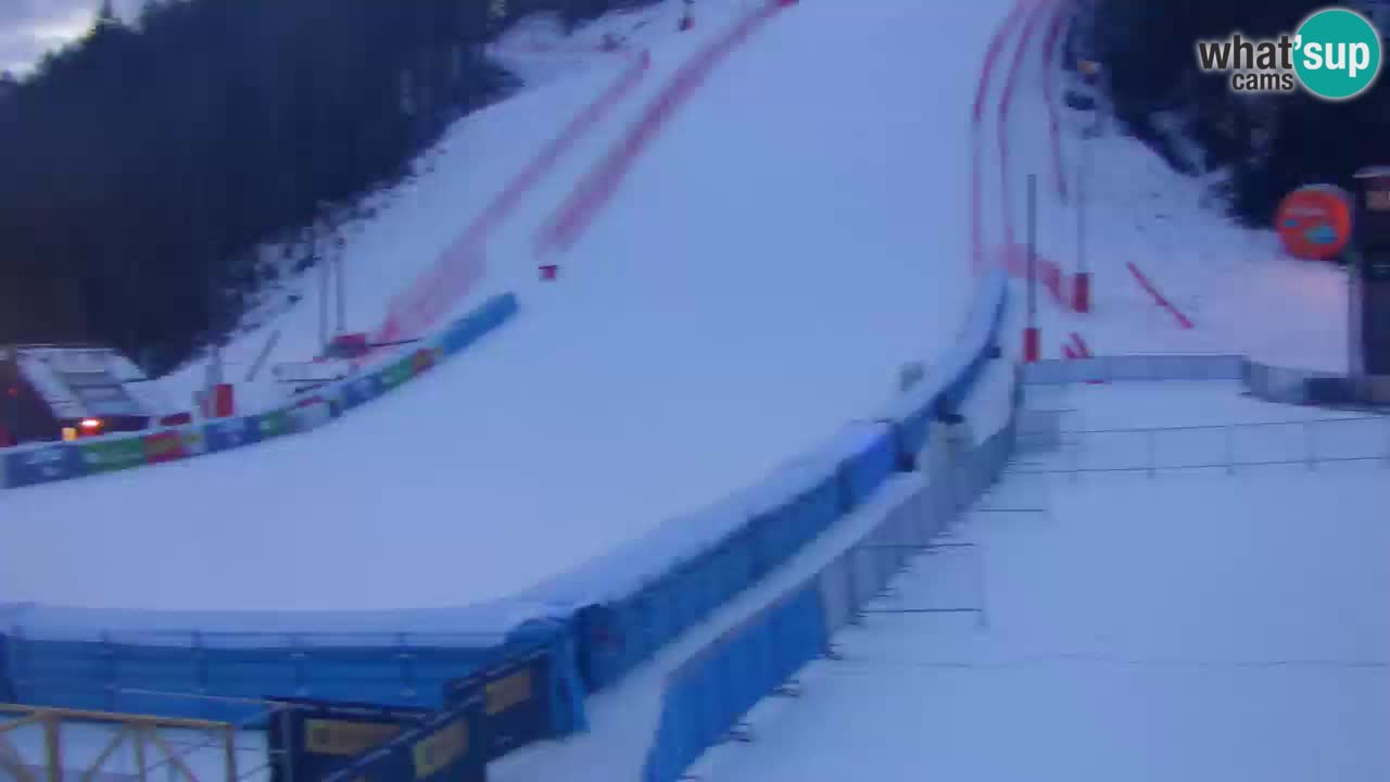 Podkoren Webcam Kranjska Gora | Finish of Giant slalom