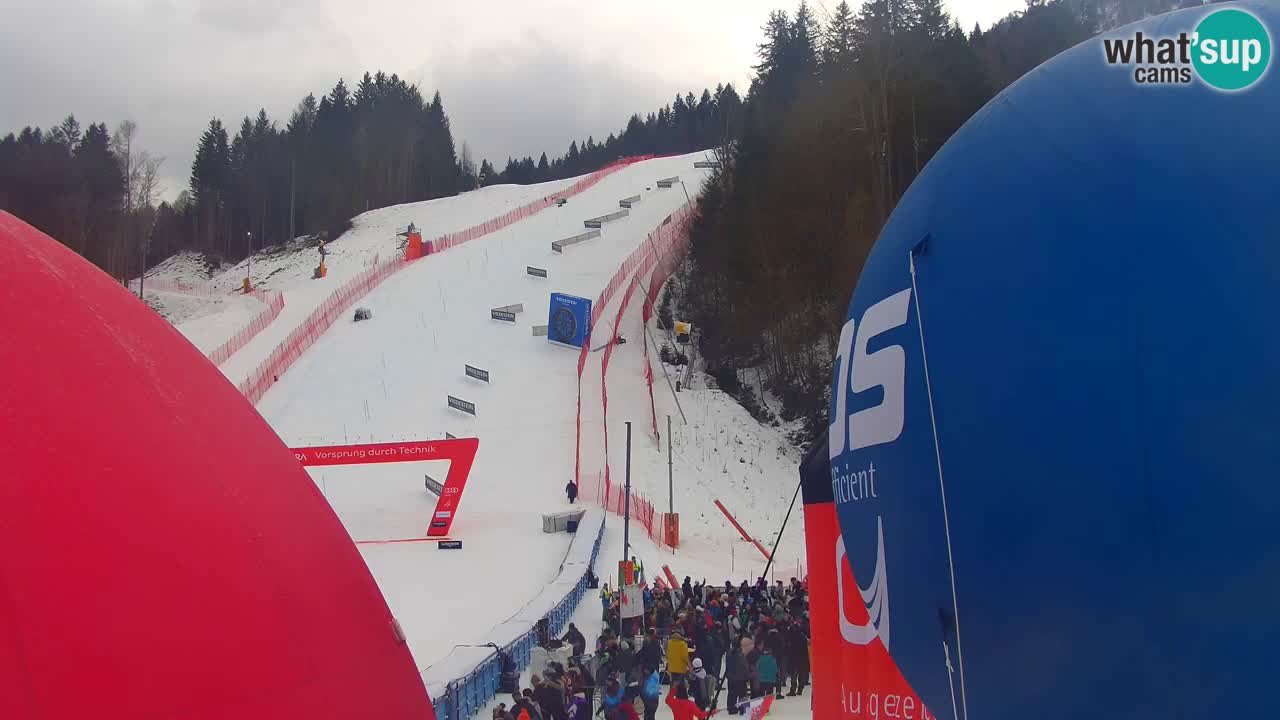 Podkoren / Kranjska Gora – Ziel Riesenslalom