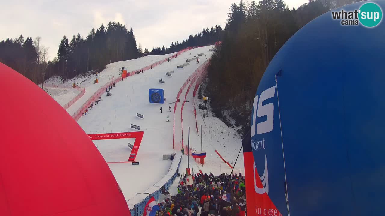 Podkoren Webcam Kranjska Gora | Finish of Giant slalom