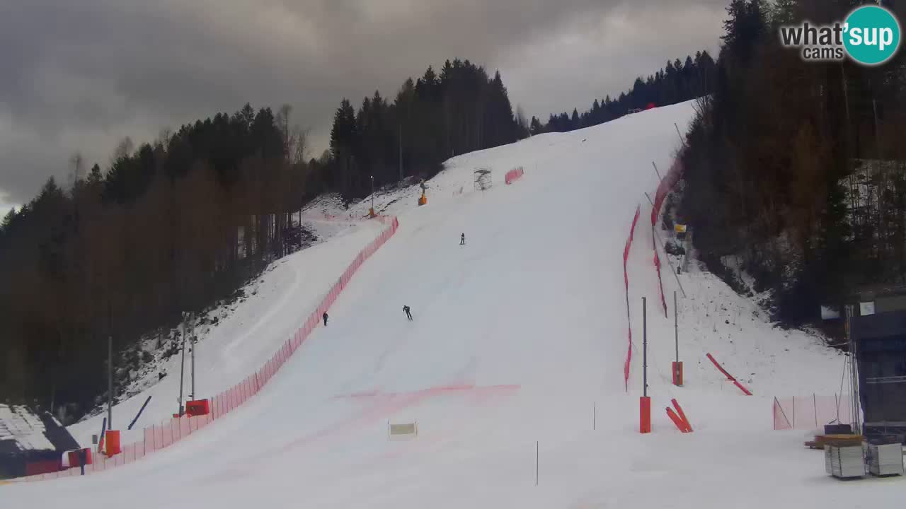 Podkoren slalom géant | Start – Kranjska Gora