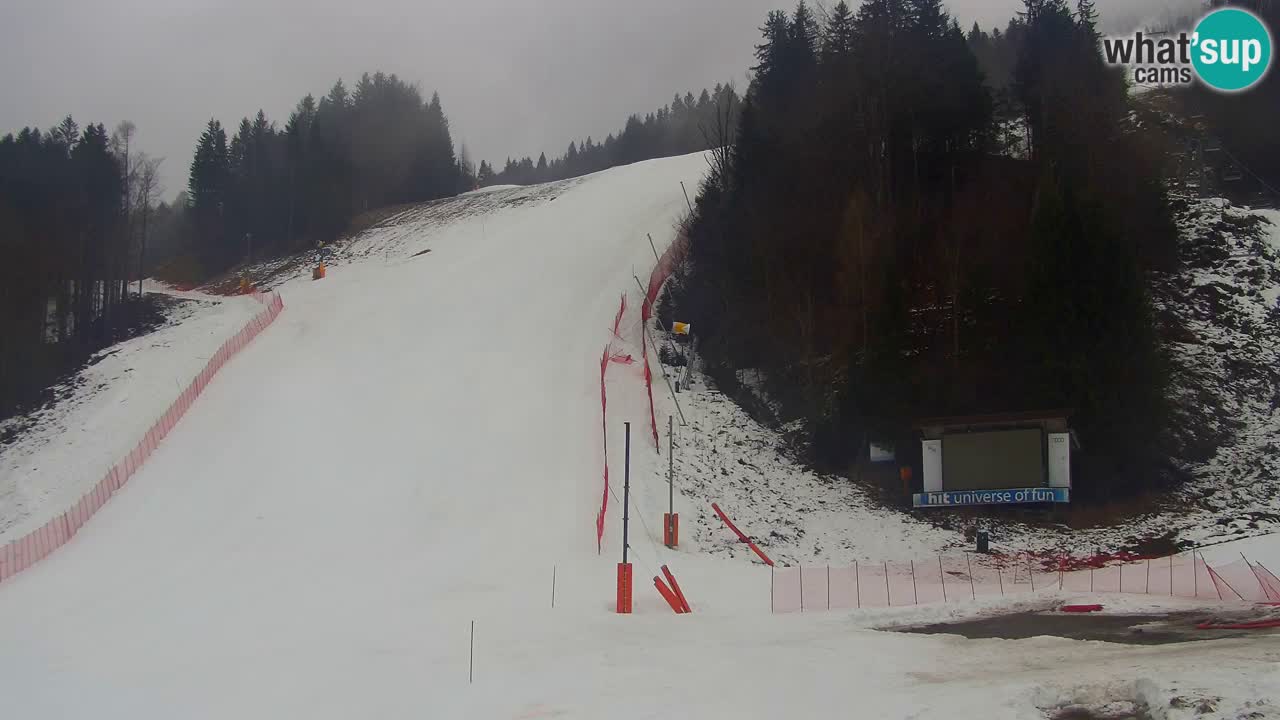 Podkoren / Kranjska Gora –  Meta Slalom gigante