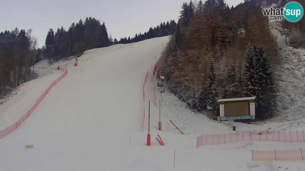 Podkoren Webcam Kranjska Gora | Finish of Giant slalom