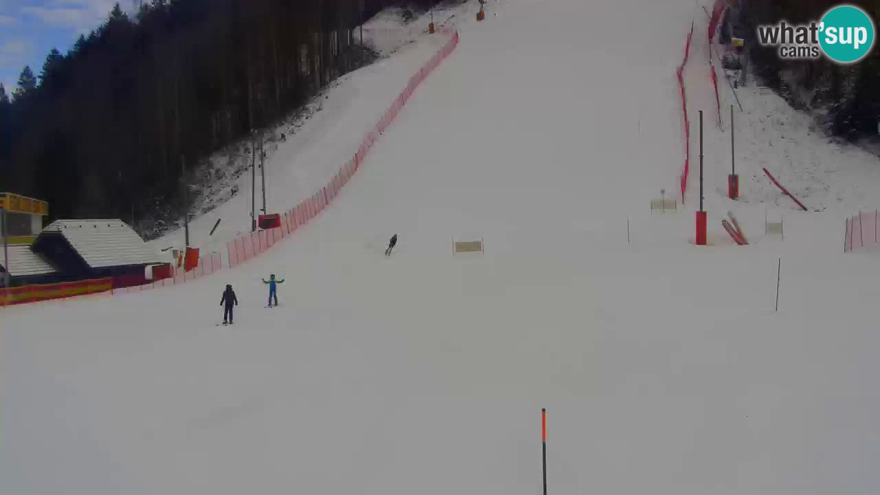 Podkoren Webcam Kranjska Gora | Finish of Giant slalom