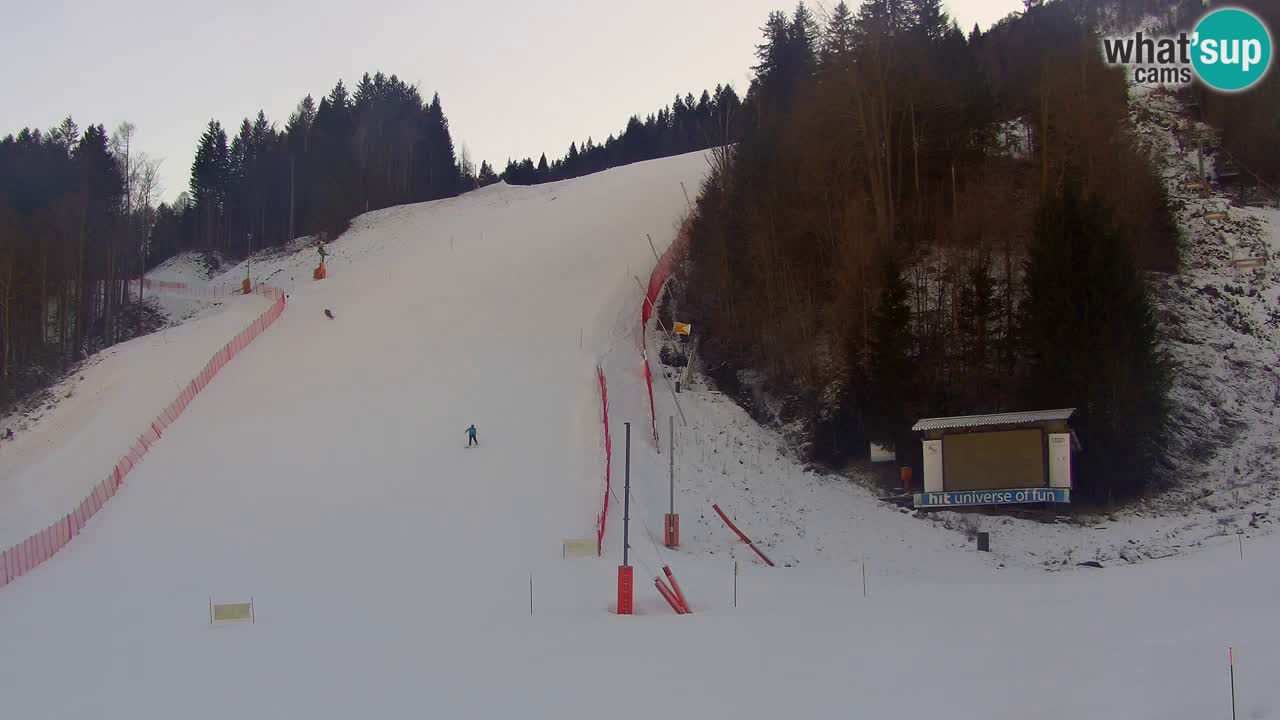 PODKOREN Kamera | Smučišče Podkoren – Kranjska Gora v ŽIVO