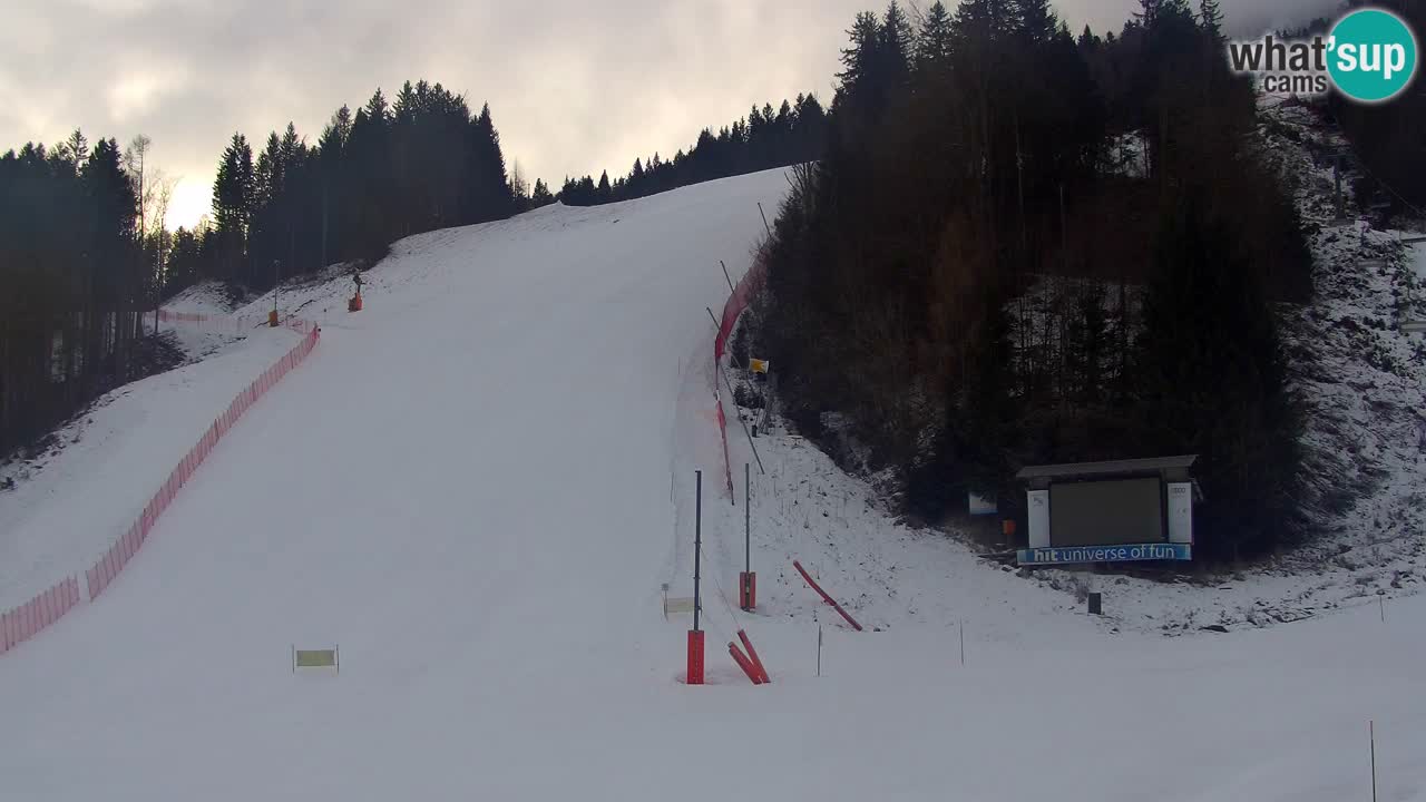 Podkoren / Kranjska Gora – Arrivo slalom gigante