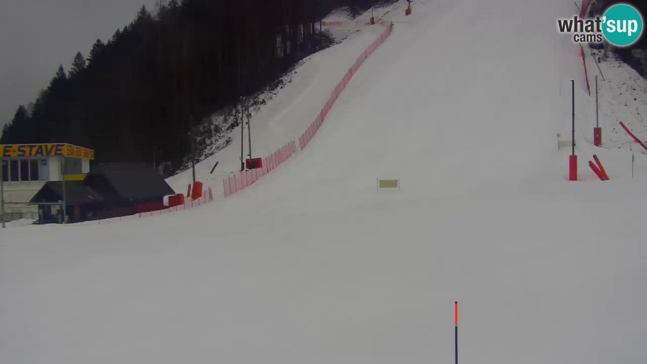 Podkoren slalom géant | Start – Kranjska Gora