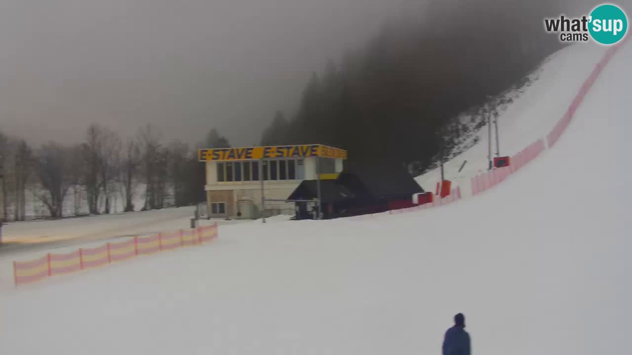 Podkoren / Kranjska Gora –  Meta Slalom gigante