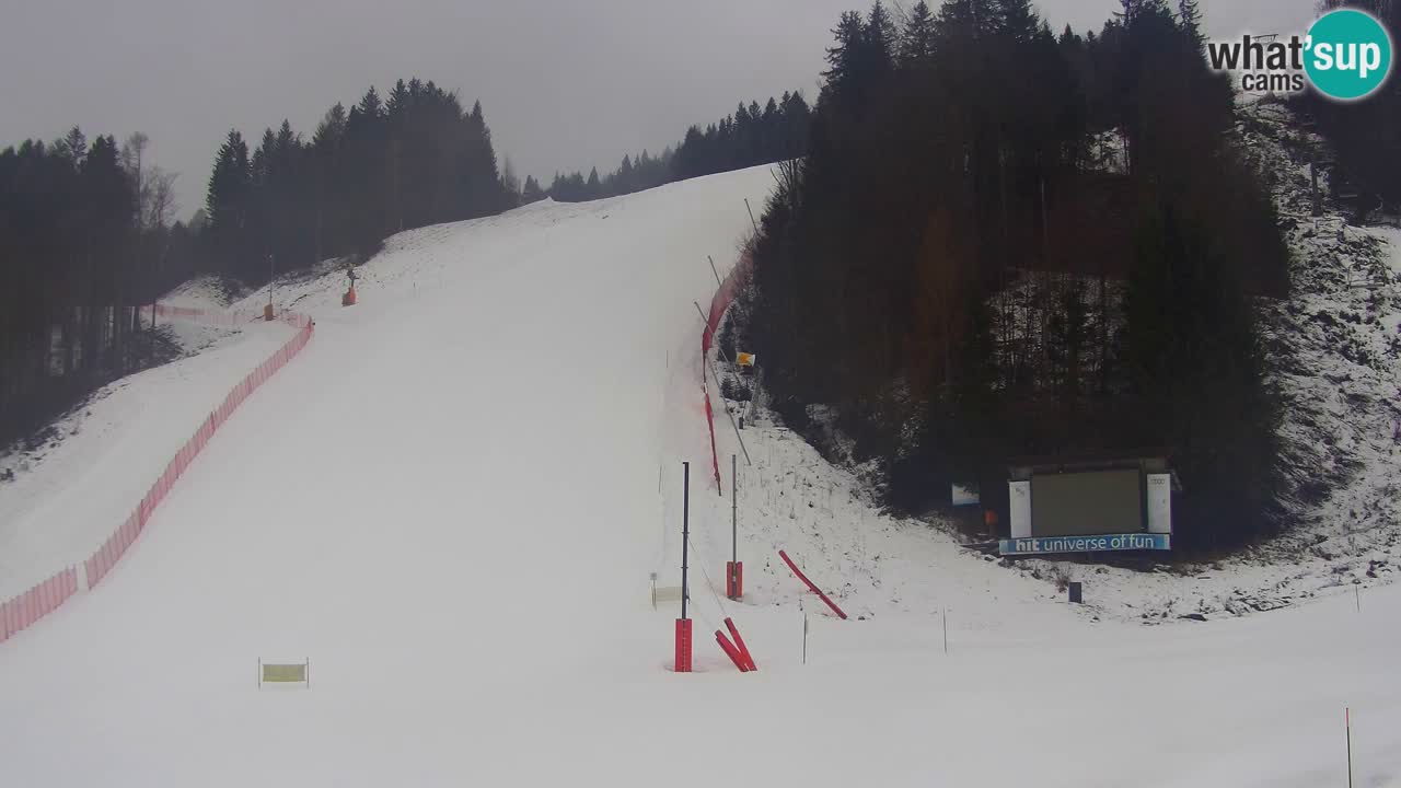 Podkoren slalom géant | Start – Kranjska Gora