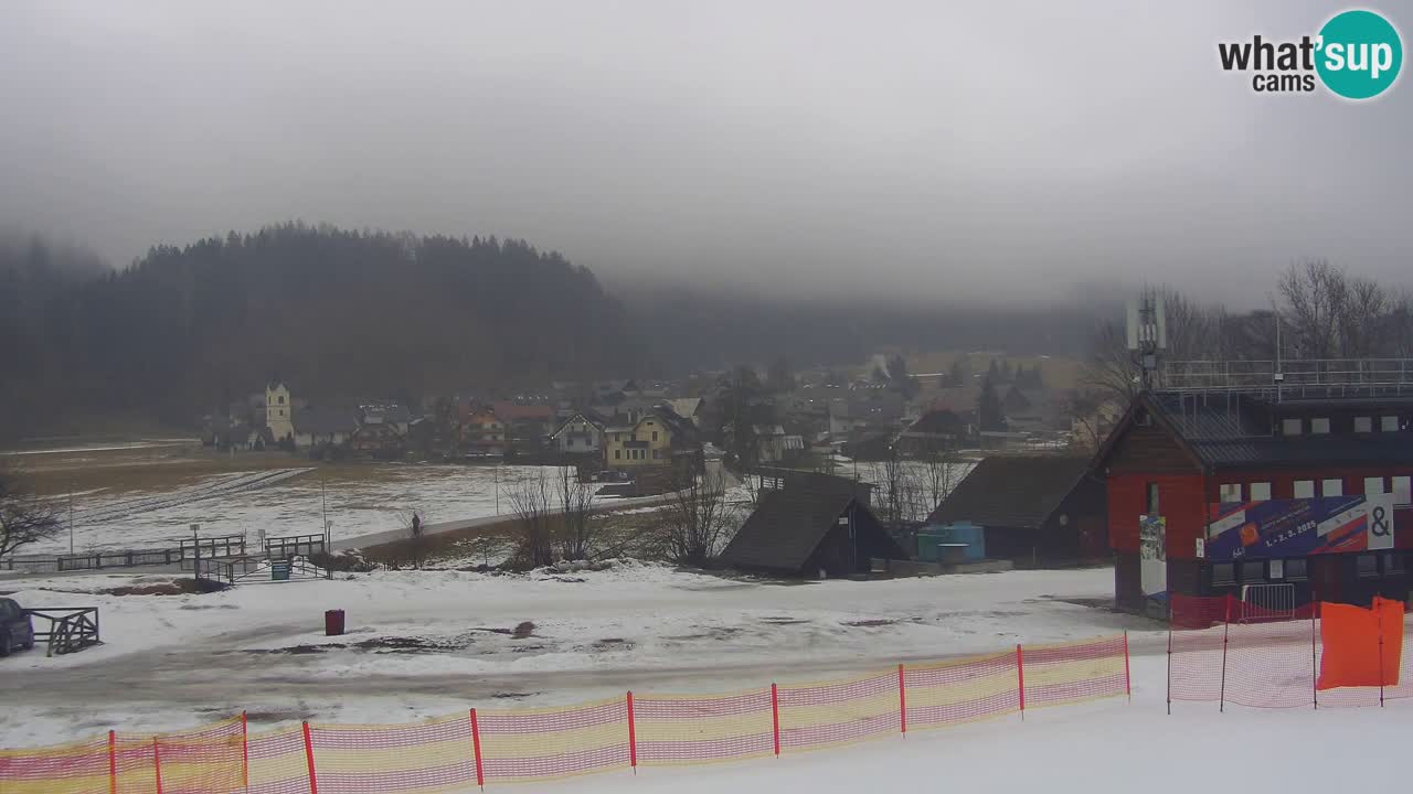 Podkoren Webcam Kranjska Gora | Finish of Giant slalom