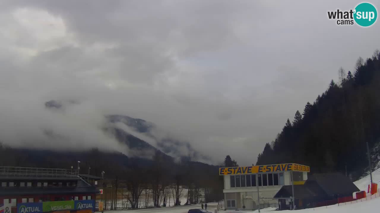 Podkoren Webcam Kranjska Gora | Finish of Giant slalom