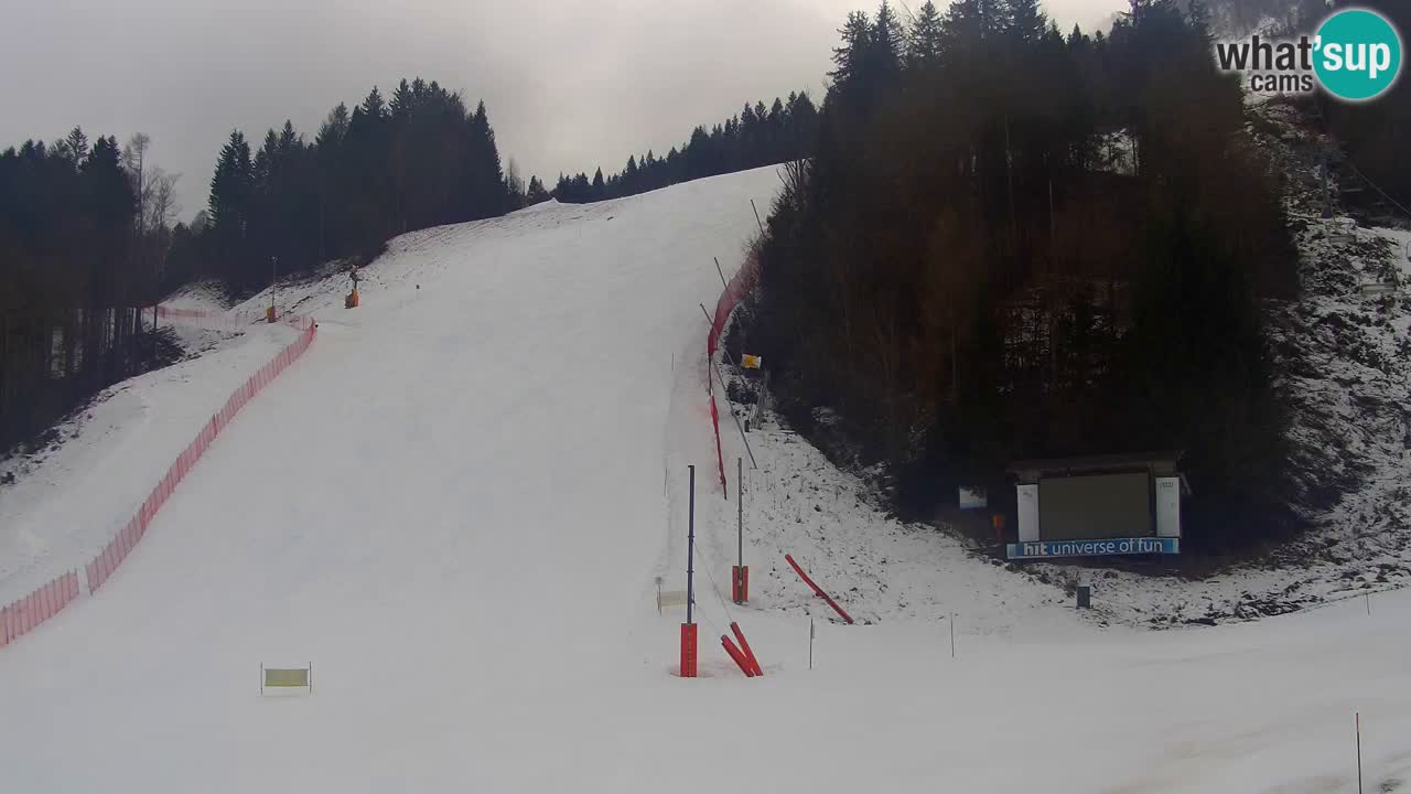 Podkoren slalom géant | Start – Kranjska Gora