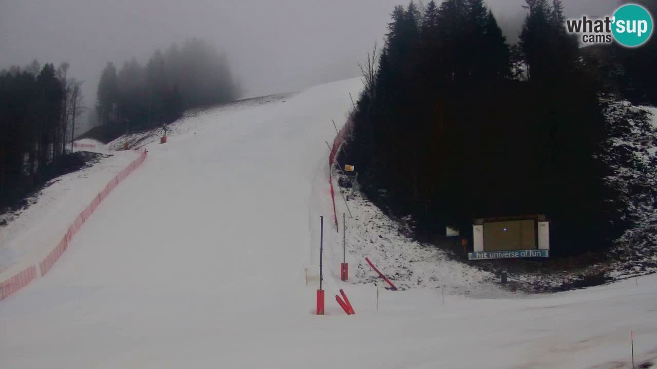 Podkoren / Kranjska Gora – Arrivo slalom gigante