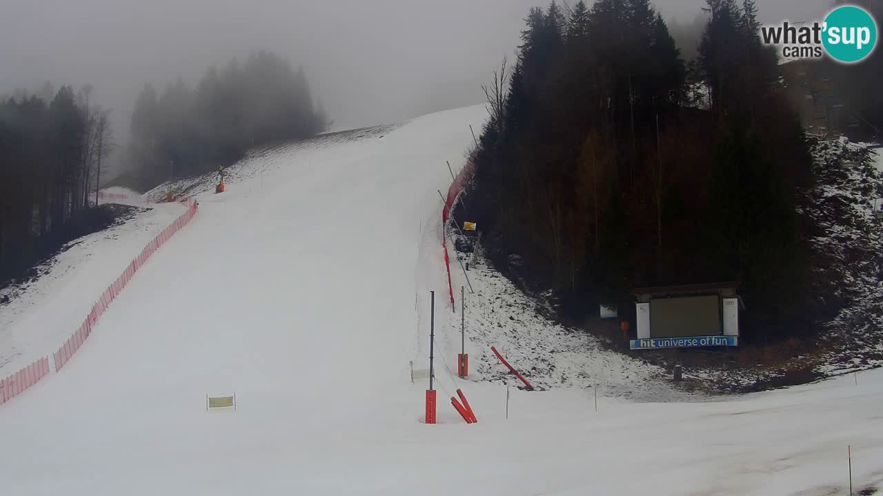 Podkoren Webcam Kranjska Gora | Finish of Giant slalom