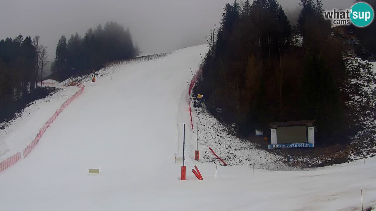 Podkoren Webcam Kranjska Gora | Finish of Giant slalom