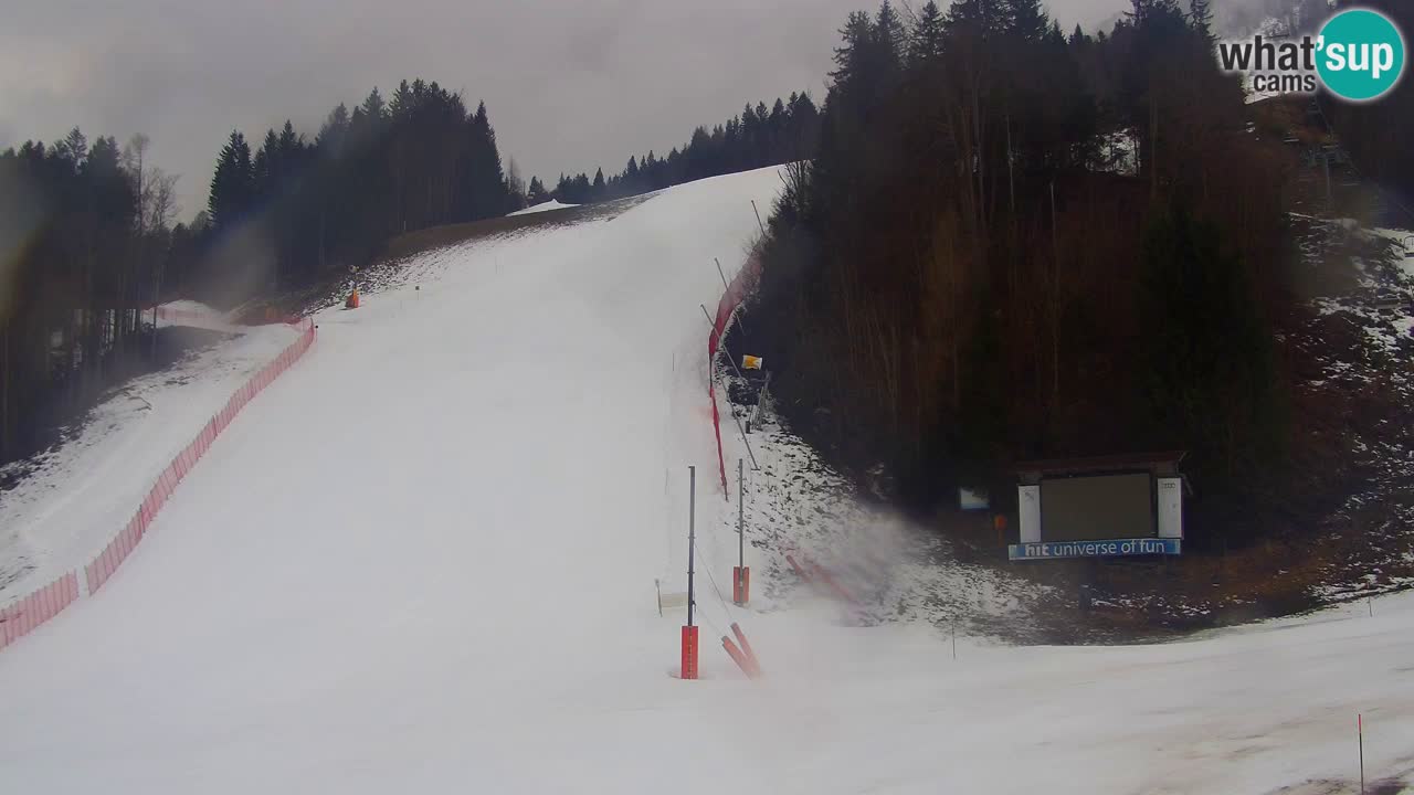 Podkoren / Kranjska Gora – Cilj veleslaloma svjetskog kupa