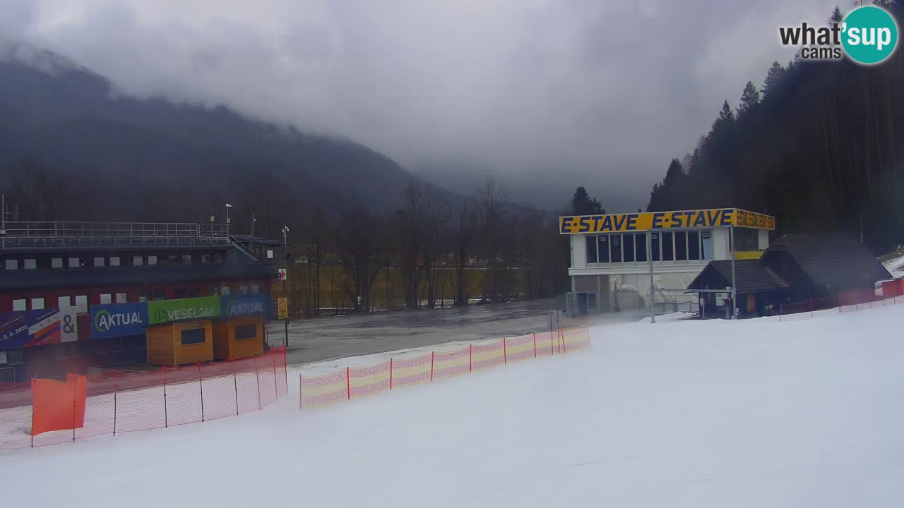 Podkoren / Kranjska Gora – Ziel Riesenslalom