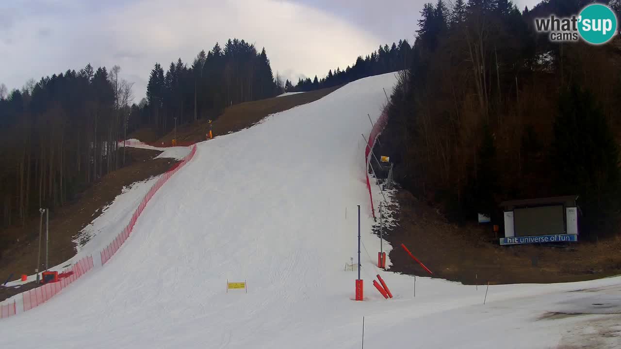 Podkoren / Kranjska Gora – Arrivee slalom géant