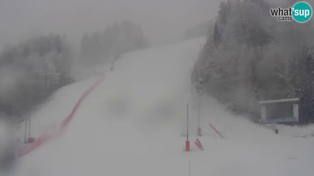 Podkoren Webcam Kranjska Gora | Finish of Giant slalom