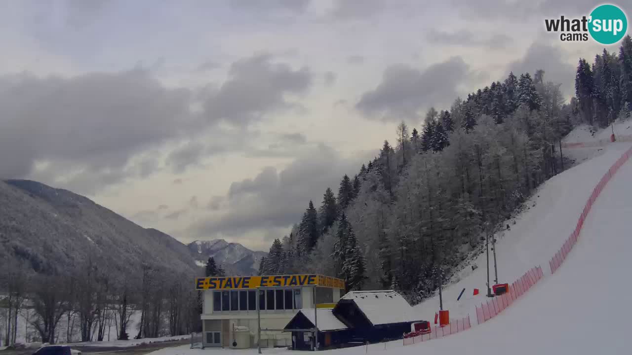 Podkoren / Kranjska Gora –  Meta Slalom gigante