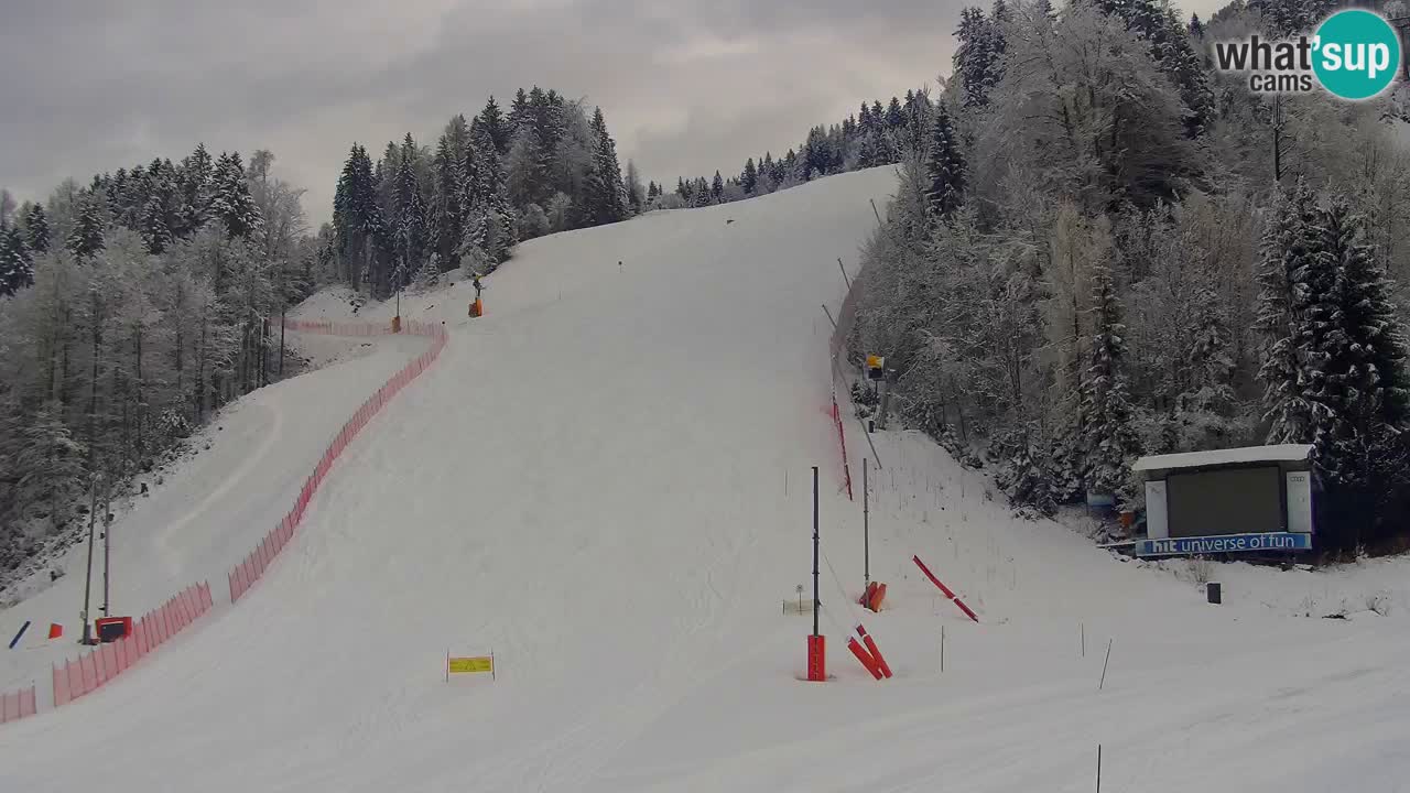 Podkoren / Kranjska Gora – Ziel Riesenslalom