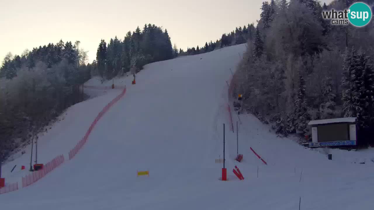 Podkoren / Kranjska Gora – Cilj veleslaloma svjetskog kupa