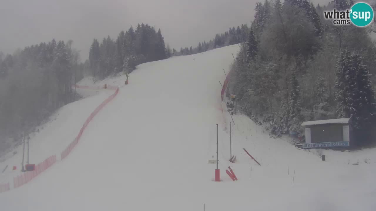 Podkoren slalom géant | Start – Kranjska Gora