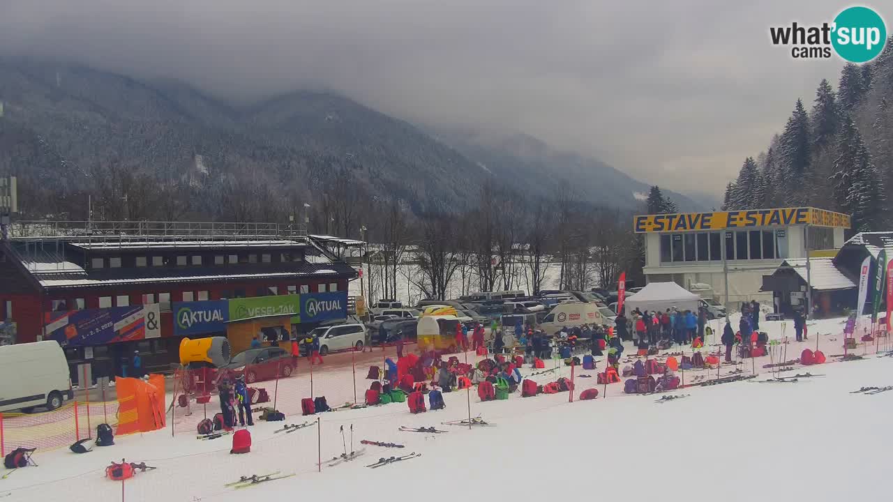 Podkoren Webcam Kranjska Gora | Finish of Giant slalom