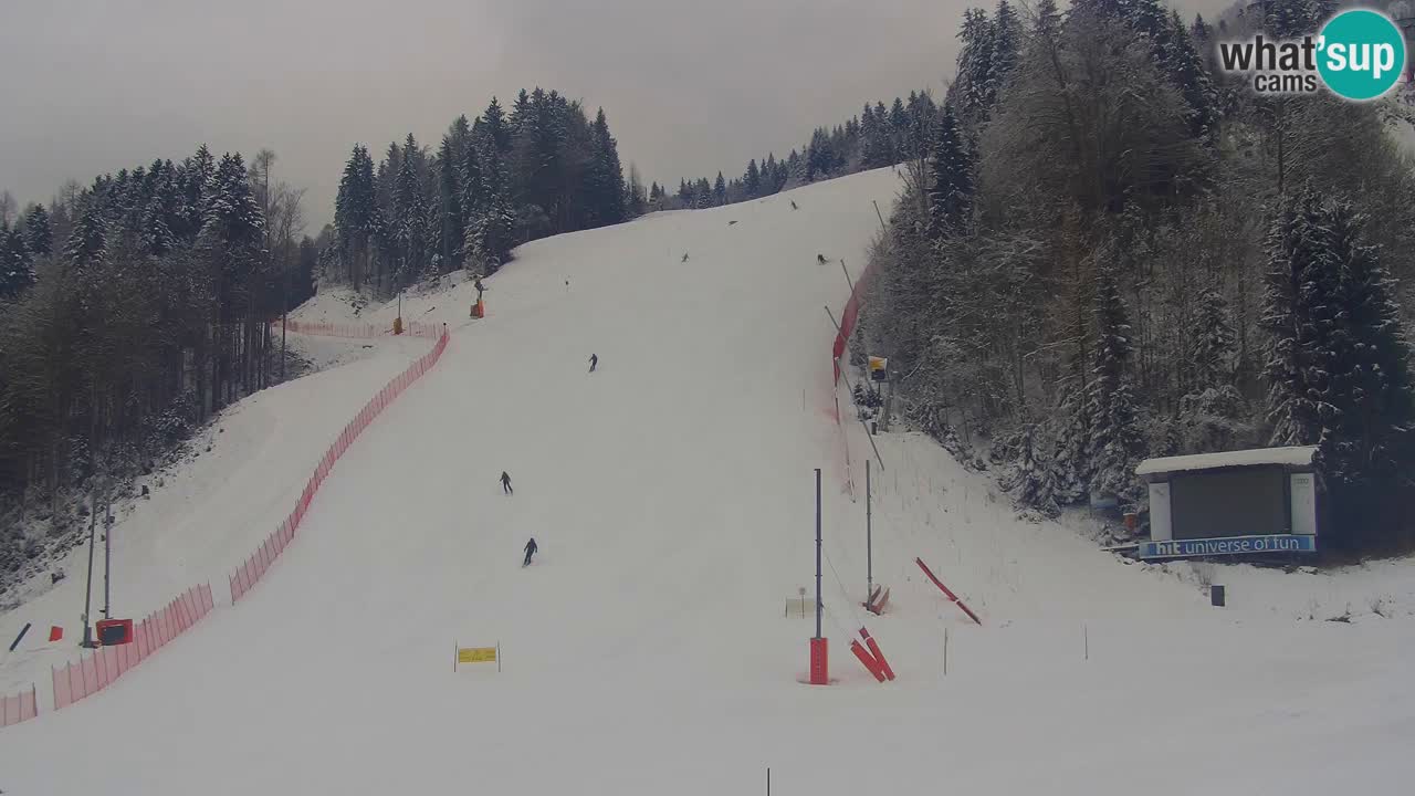 Podkoren Webcam Kranjska Gora | Finish of Giant slalom