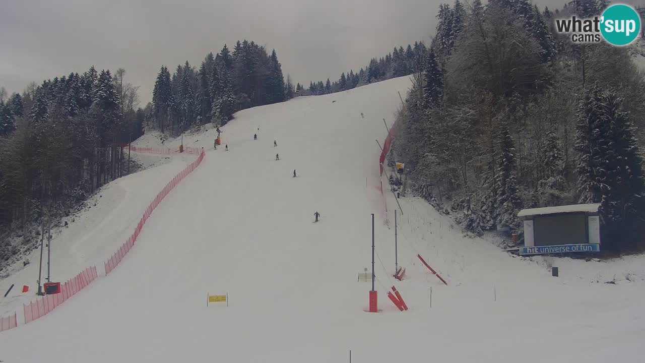 Podkoren / Kranjska Gora –  Meta Slalom gigante