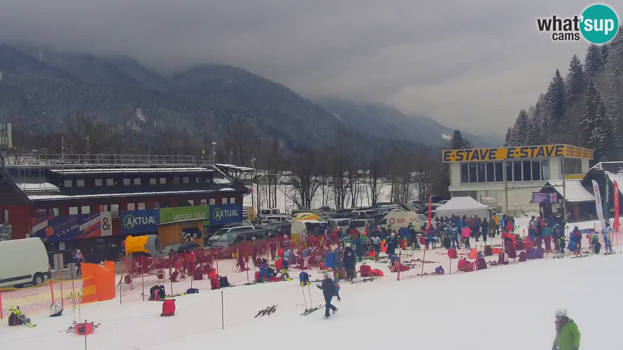 Podkoren Webcam Kranjska Gora | Finish of Giant slalom