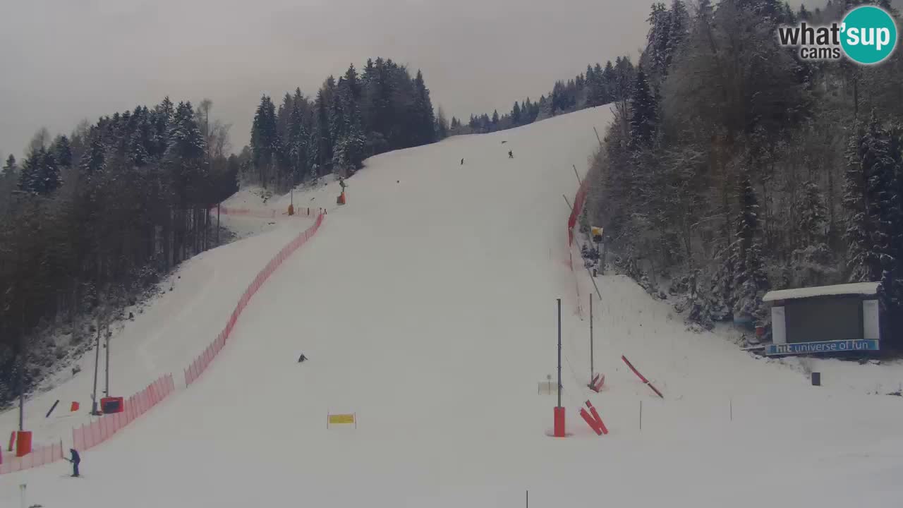 PODKOREN Kamera | Smučišče Podkoren – Kranjska Gora v ŽIVO