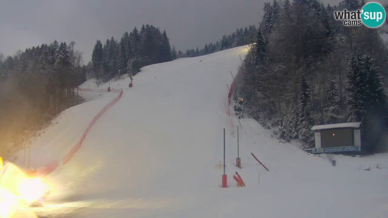 Podkoren / Kranjska Gora – Ziel Riesenslalom