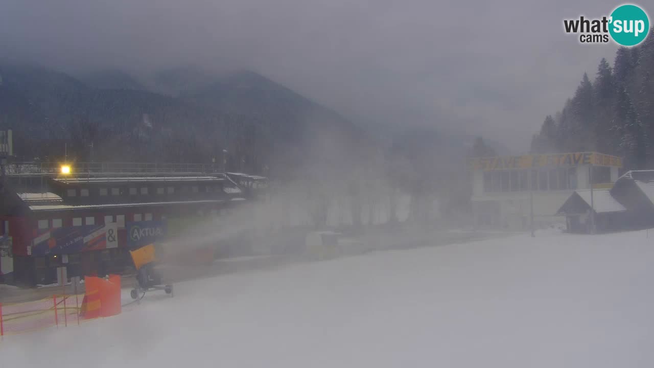 Podkoren / Kranjska Gora – Ziel Riesenslalom