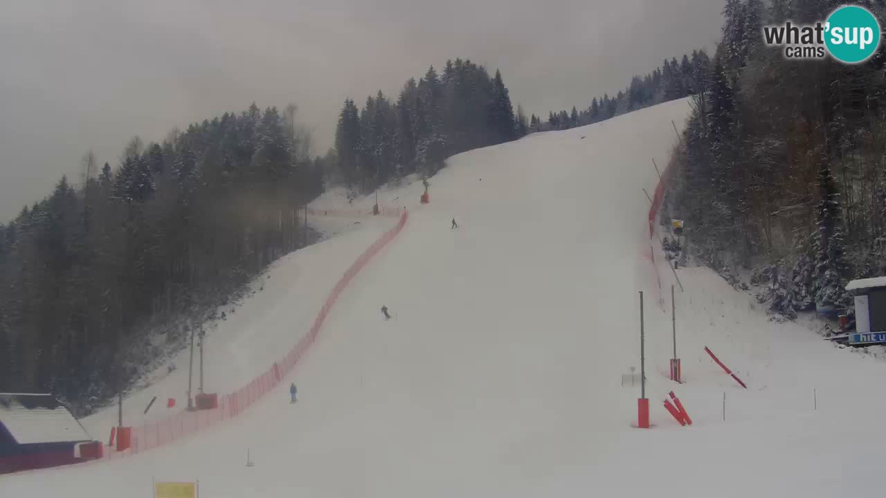 Podkoren Webcam Kranjska Gora | Finish of Giant slalom