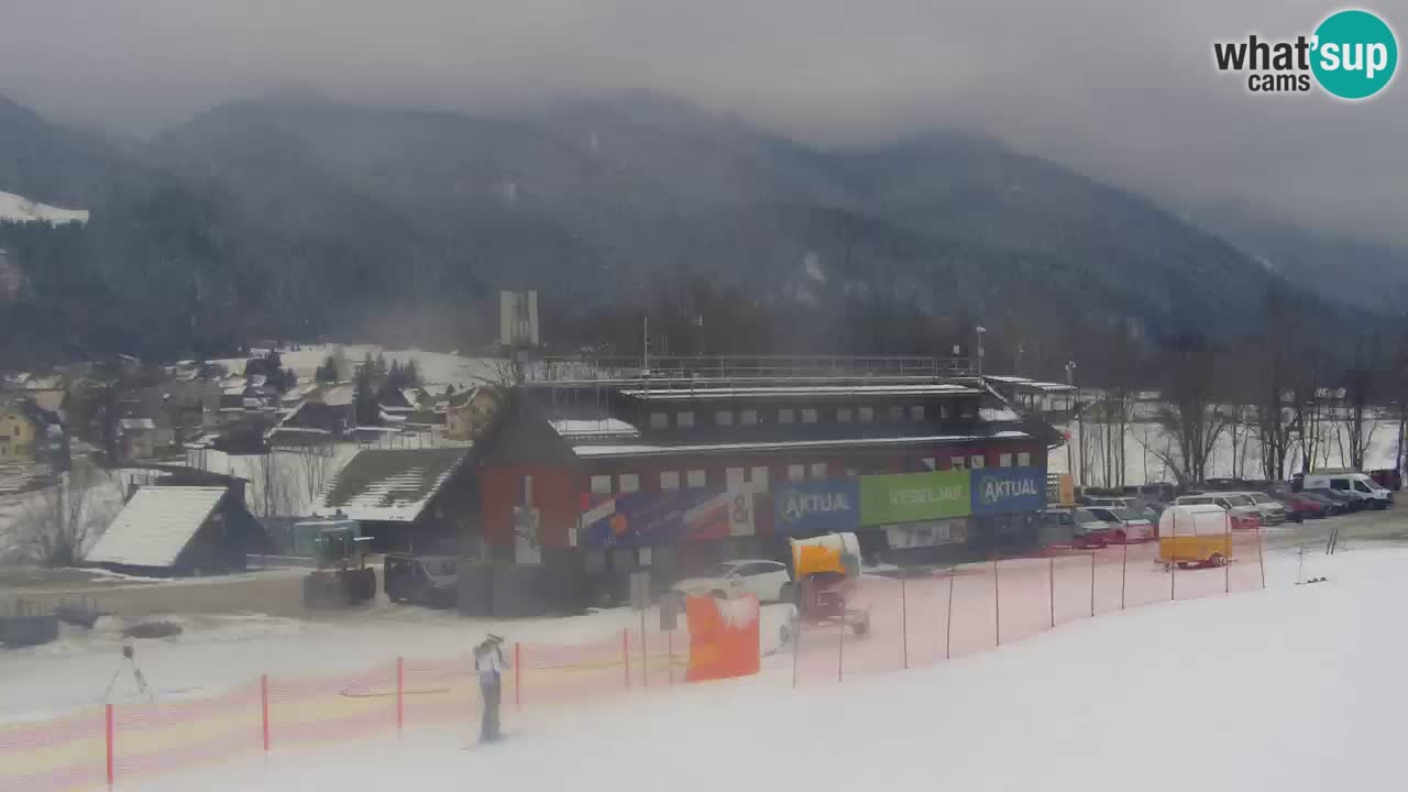 Podkoren Webcam Kranjska Gora | Finish of Giant slalom