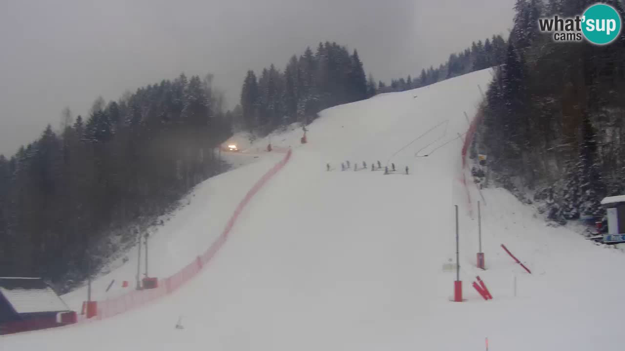 PODKOREN Kamera | Smučišče Podkoren – Kranjska Gora v ŽIVO