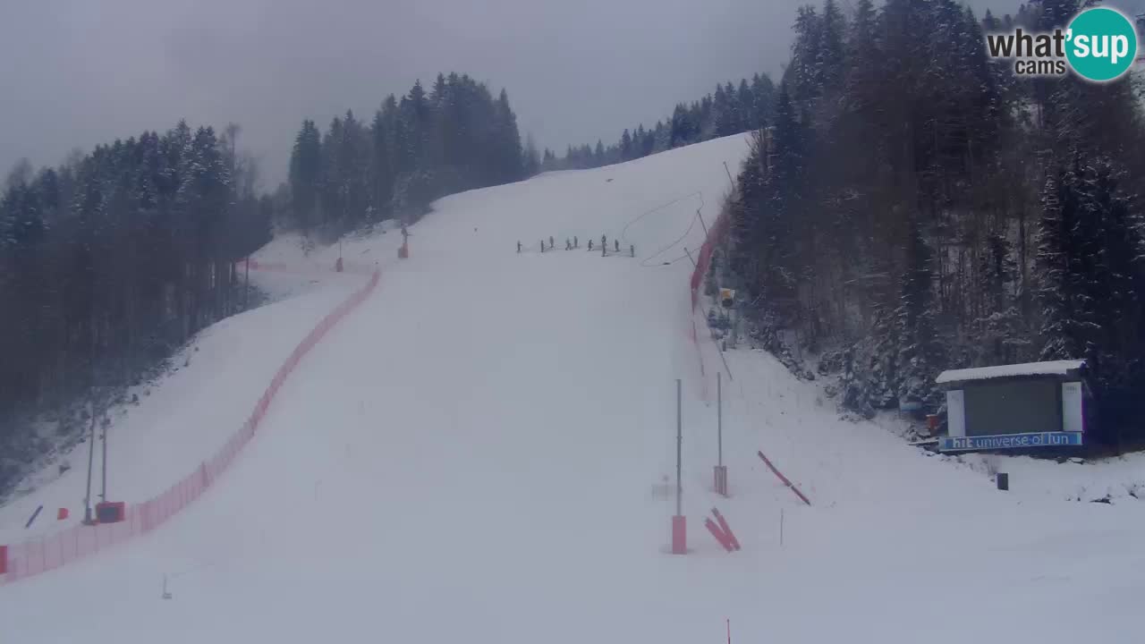 Podkoren / Kranjska Gora – Cilj veleslaloma svjetskog kupa