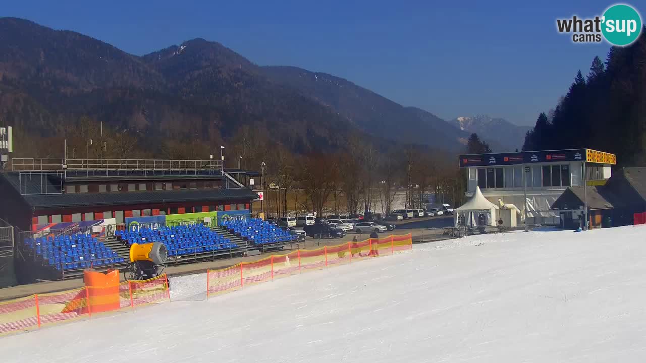 Podkoren Webcam Kranjska Gora | Finish of Giant slalom