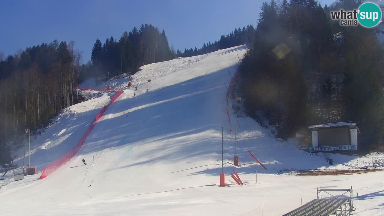 Podkoren / Kranjska Gora – Ziel Riesenslalom