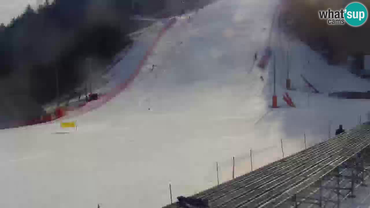 Podkoren Webcam Kranjska Gora | Finish of Giant slalom