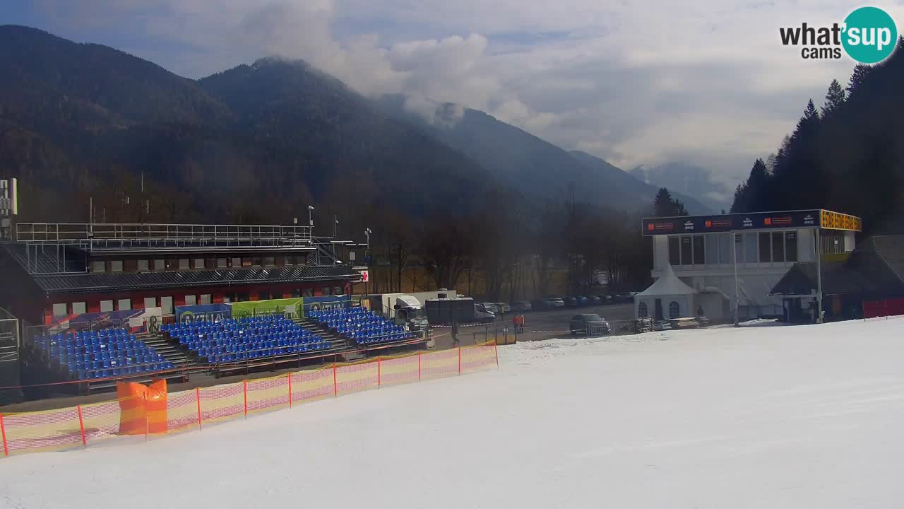 Podkoren slalom géant | Start – Kranjska Gora