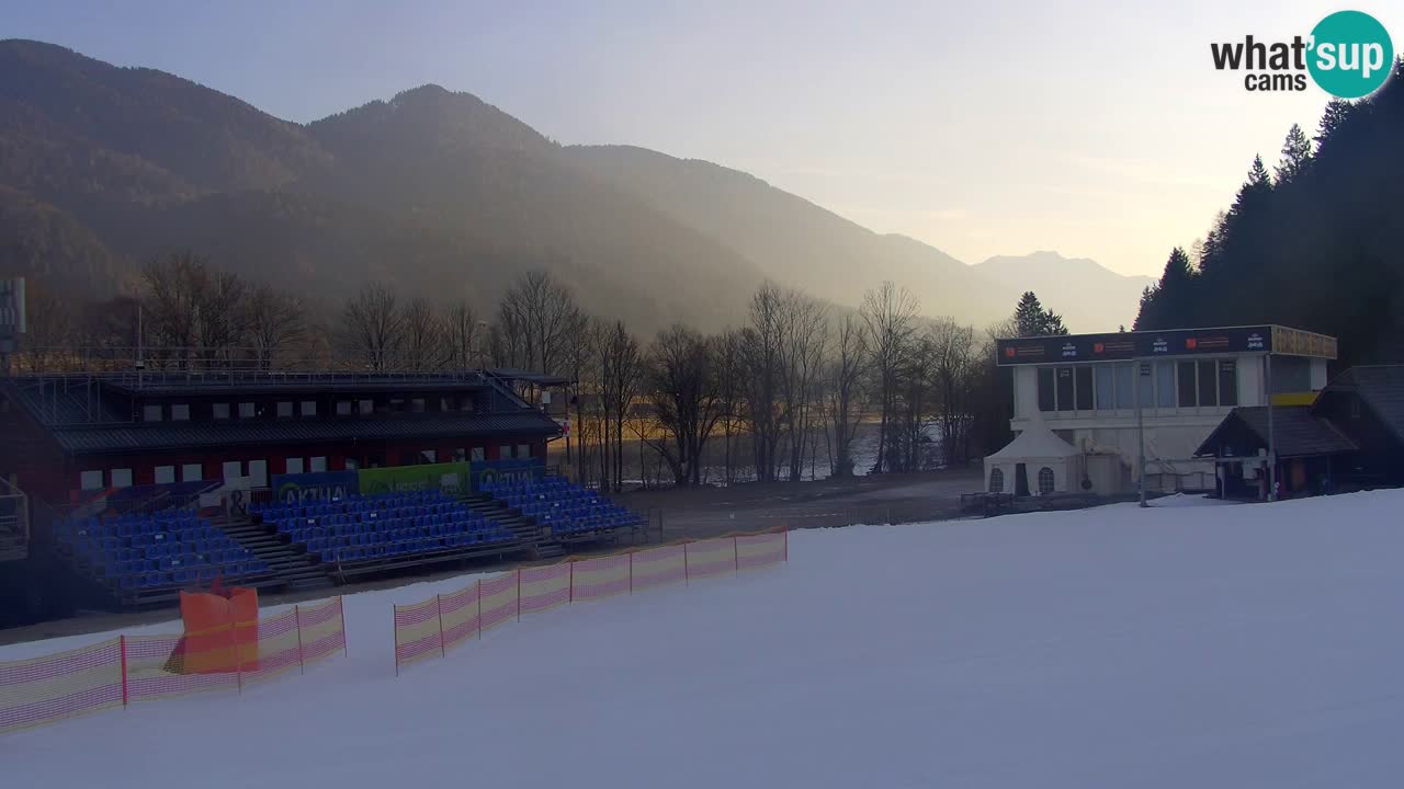 Podkoren / Kranjska Gora – Arrivo slalom gigante