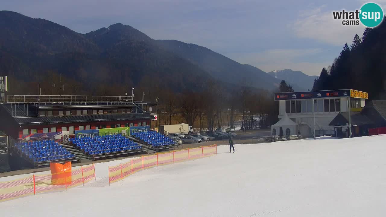 Podkoren / Kranjska Gora –  Meta Slalom gigante