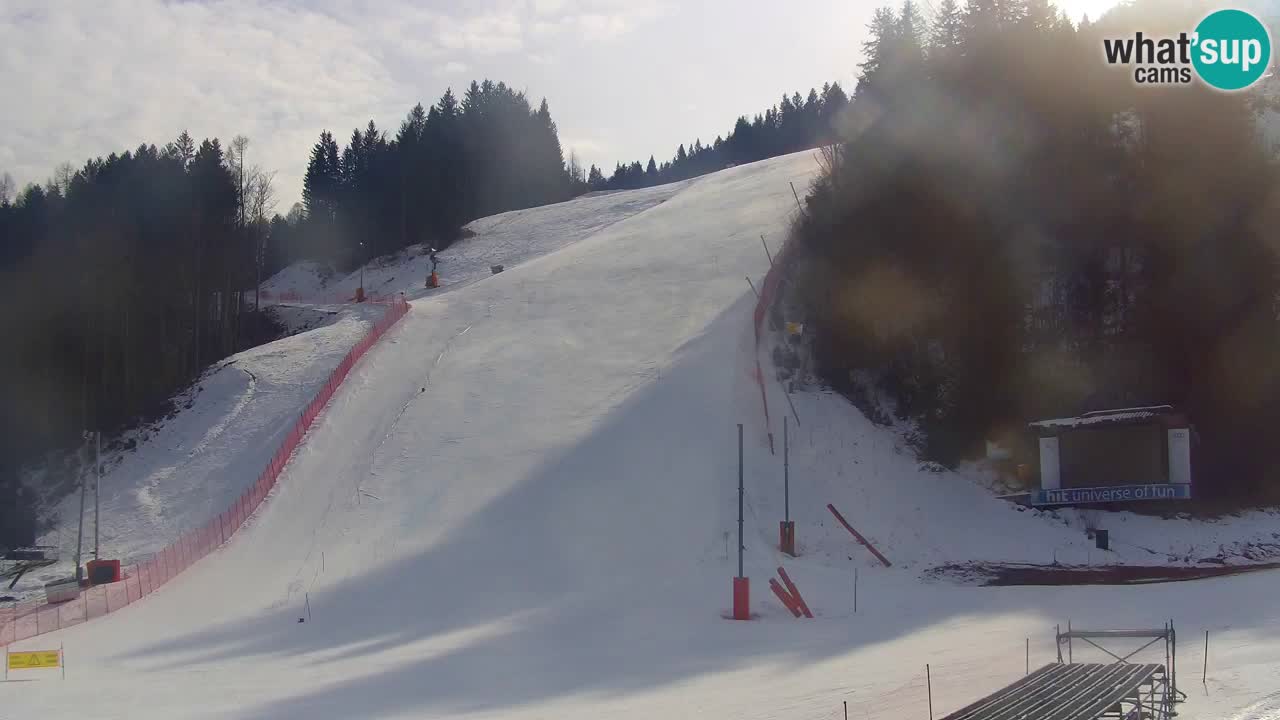 Podkoren / Kranjska Gora – Arrivo slalom gigante