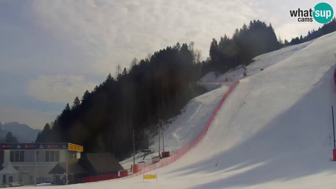 Podkoren slalom géant | Start – Kranjska Gora