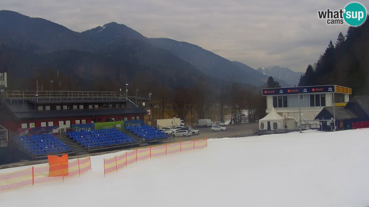 Podkoren / Kranjska Gora – Arrivo slalom gigante