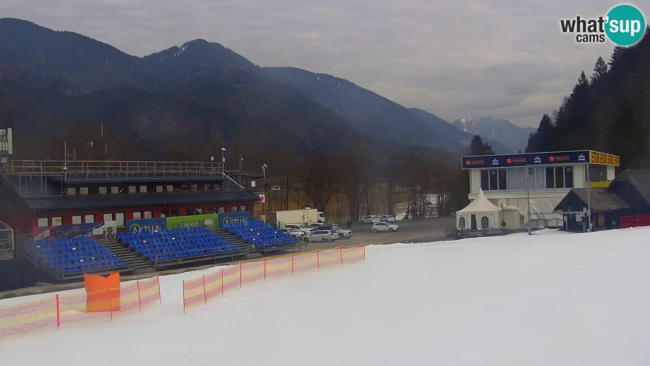 Podkoren / Kranjska Gora – Arrivee slalom géant