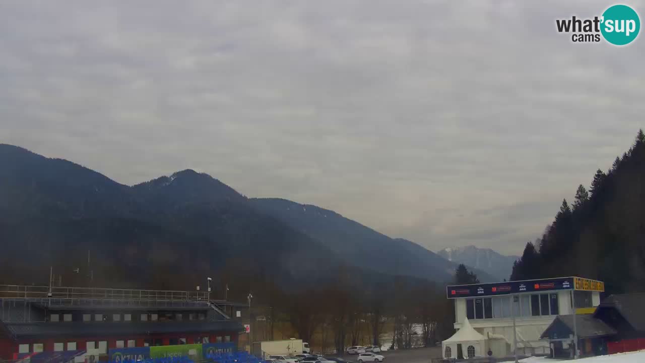 Podkoren Webcam Kranjska Gora | Finish of Giant slalom