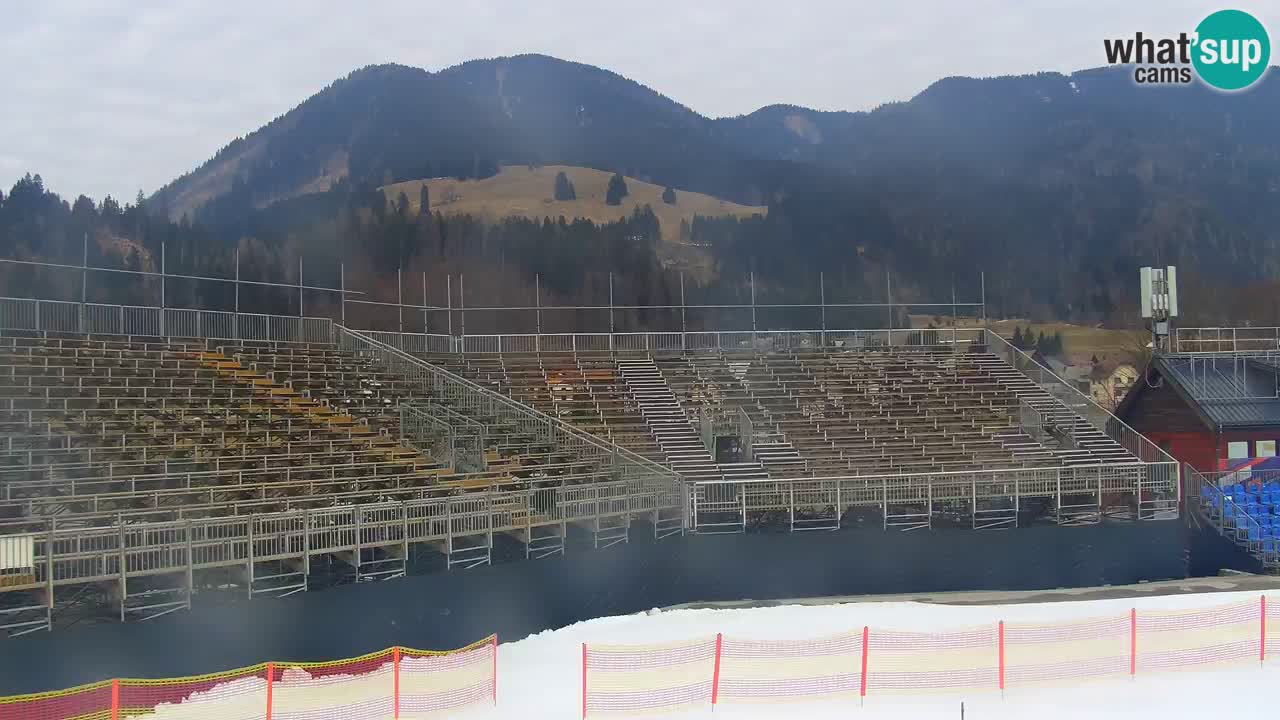 Podkoren / Kranjska Gora – Arrivo slalom gigante